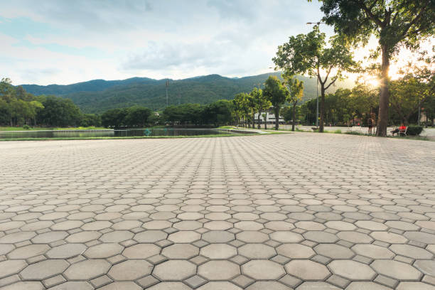 Best Affordable Driveway Paving  in West Haven, CT